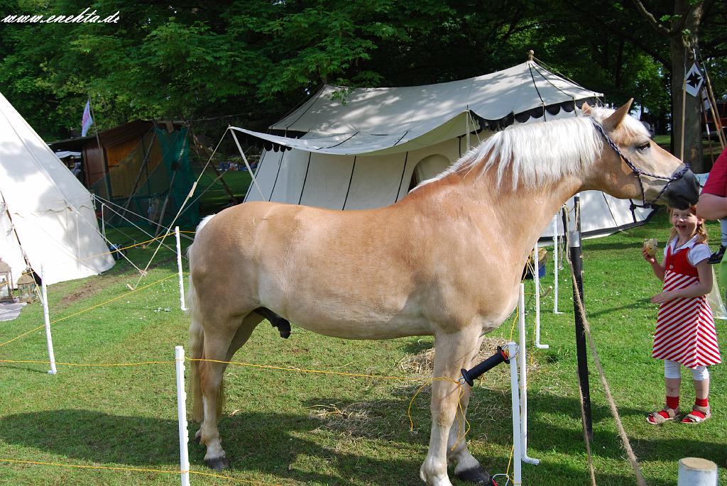 Mittelaltermarkt Dortmund-Hohensyburg vom 29.05.2010-029.jpg